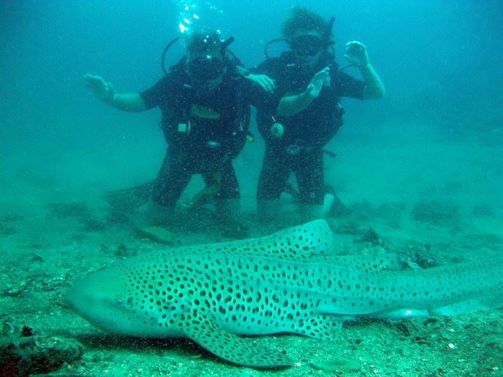 61ae9ec1-da23-42da-a52e-2e3804b4fa32