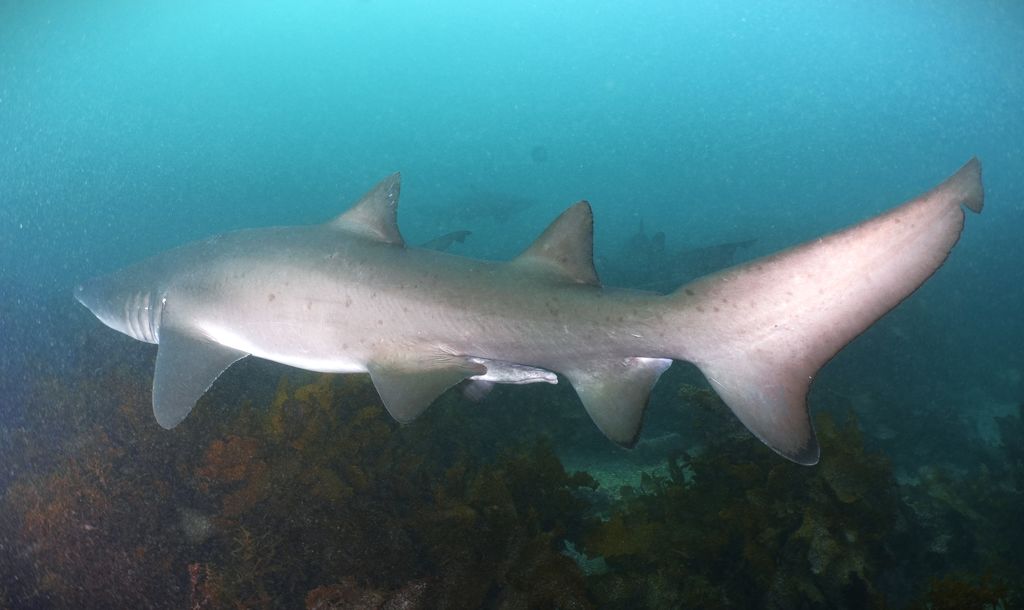 001147d0-82c5-45fc-b837-d9e2eb703435