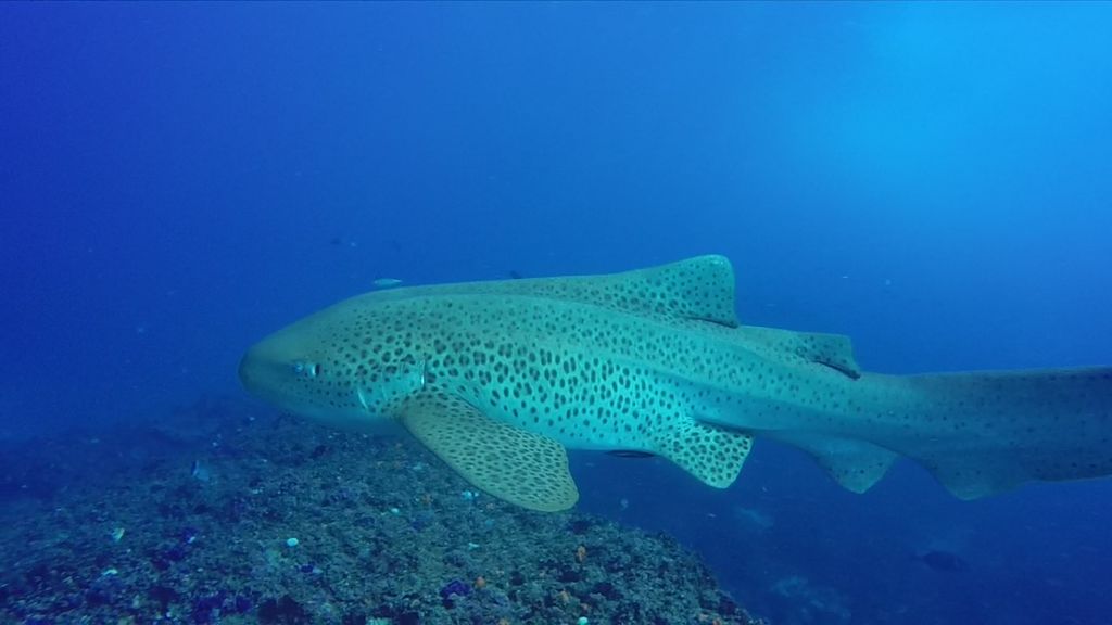 0f0b849e-5a13-4ce7-aef9-ef706d682c64