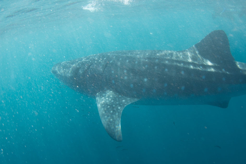 29a9e16c-cc1d-469c-9e30-58964fc048a3