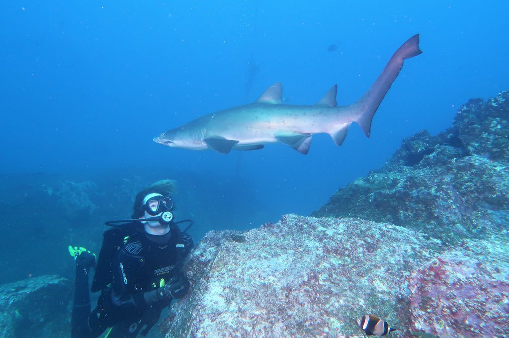 43c6c12b-4688-47de-9199-62586e3374a2