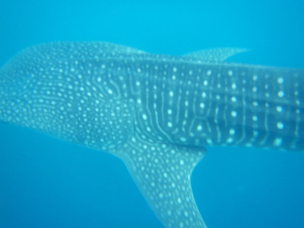 5f35a81c-b19e-4c64-9d62-413cf0a008a9