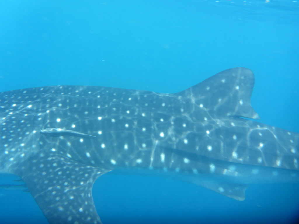 3dd3c62a-5671-4d7c-9449-ce5fe7f5548a