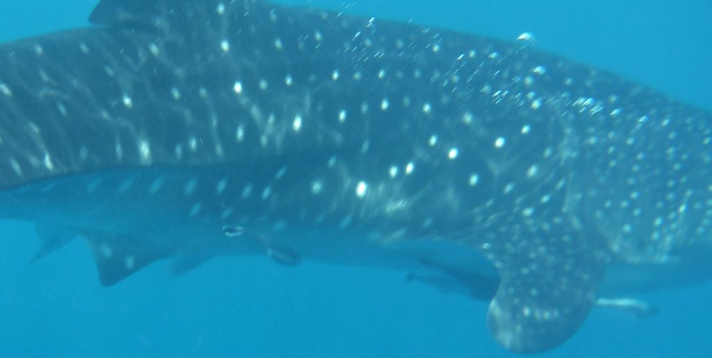 3dd3c62a-5671-4d7c-9449-ce5fe7f5548a