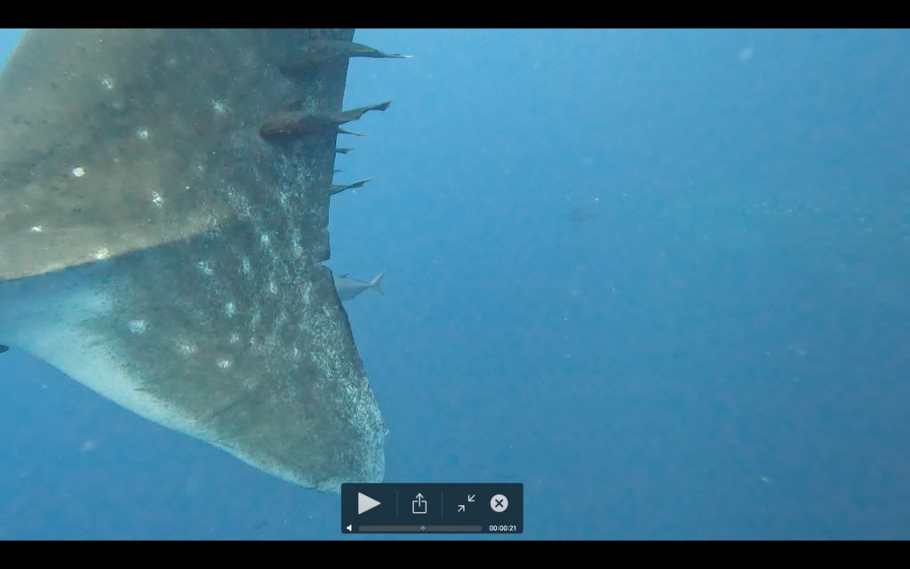 4adde52f-8636-4619-b8f3-620b3e4a7da5