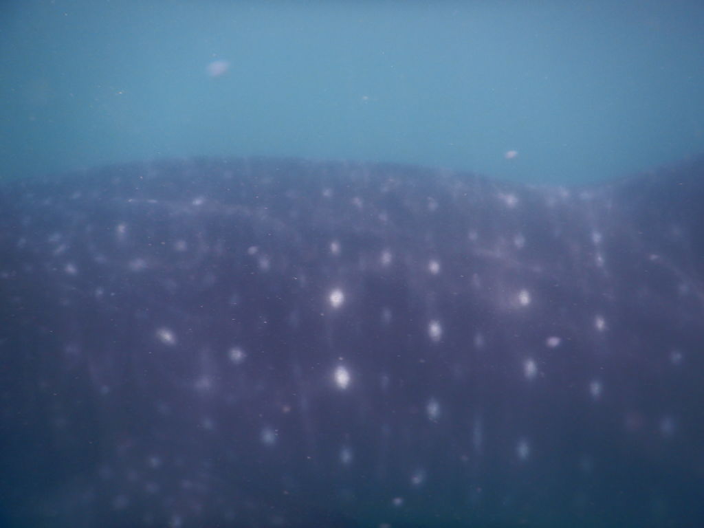 ccaf7542-5c89-478a-a0ae-3f31532e27c7