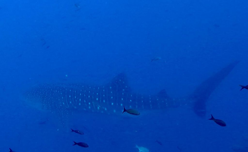 2140a88c-2f58-43c0-99a1-b1d2b7d3aedf