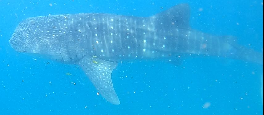 727240aa-36f0-4402-8370-db97d77981fb