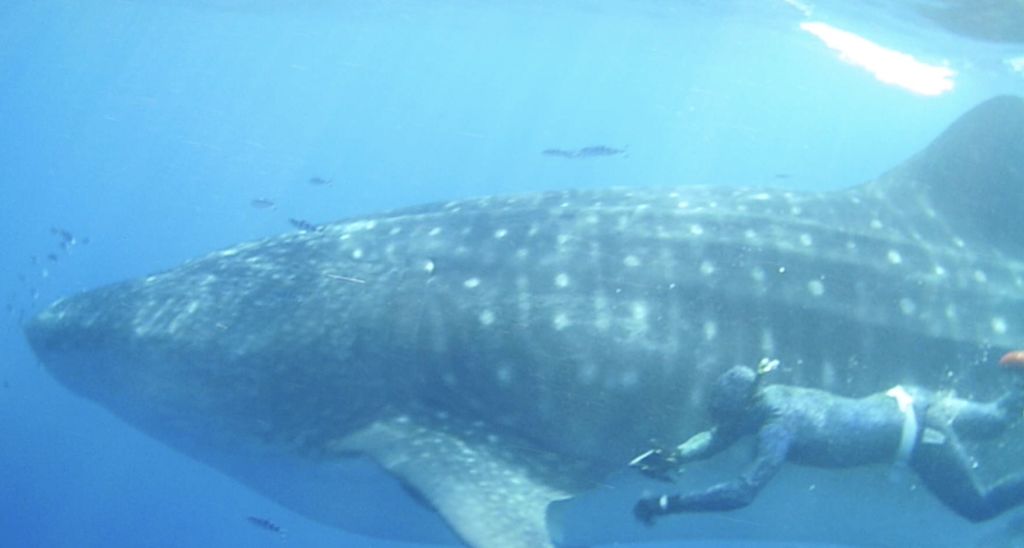 e851d040-4353-4740-b7fa-f1f75433bd46