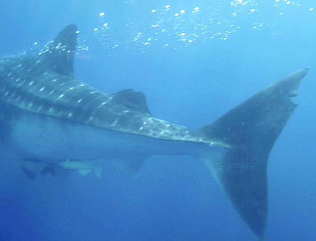 e851d040-4353-4740-b7fa-f1f75433bd46