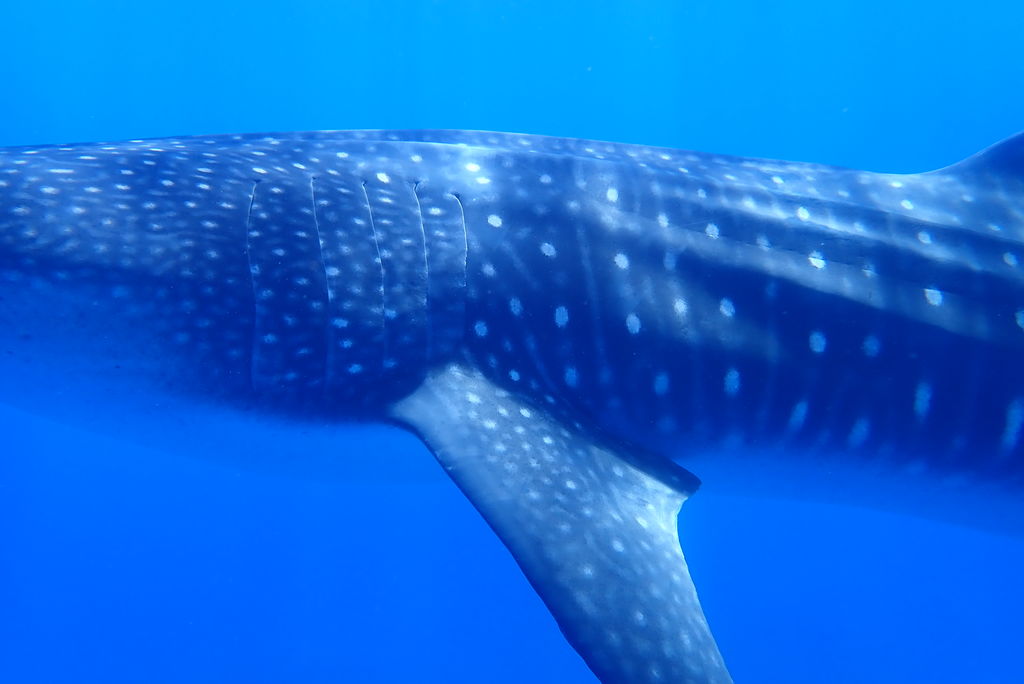 8e29d15c-0e34-44b8-8da9-2c515b09eb8d