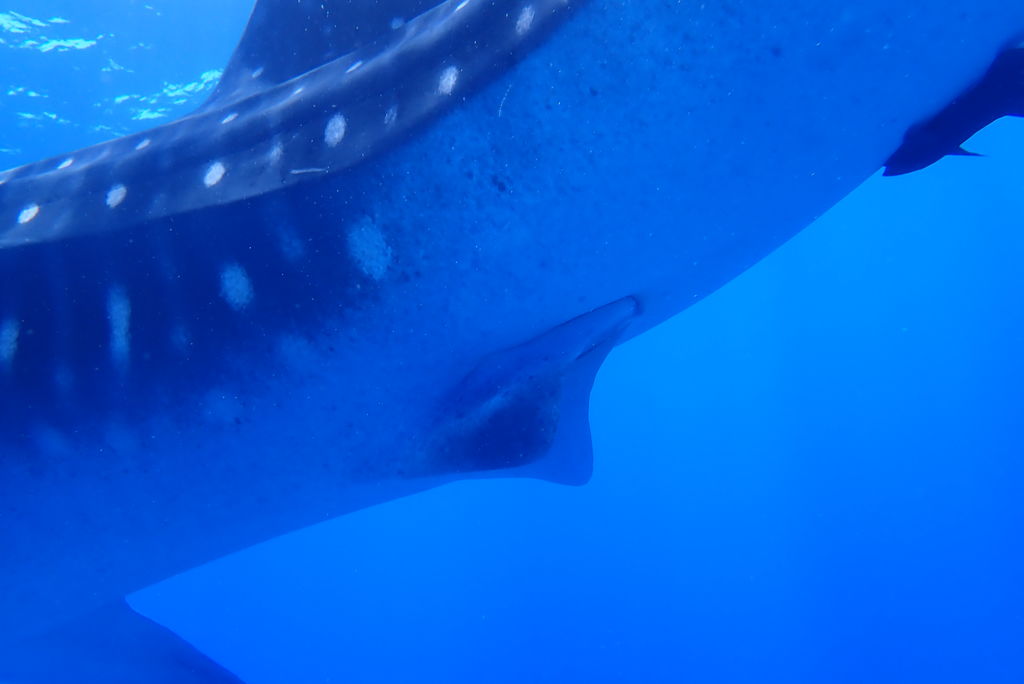 8e29d15c-0e34-44b8-8da9-2c515b09eb8d