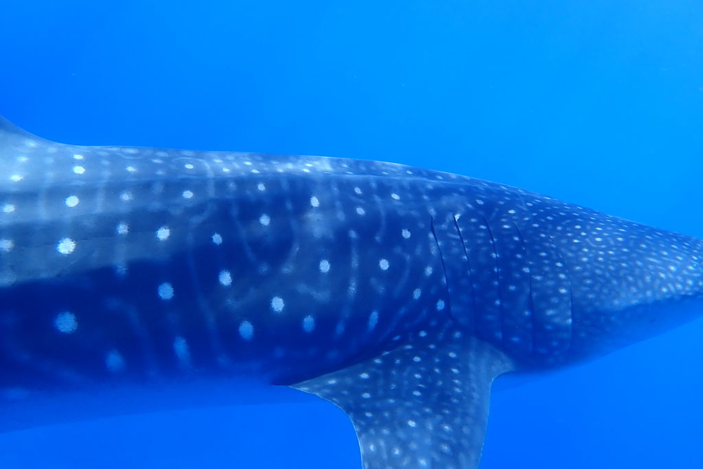 8e29d15c-0e34-44b8-8da9-2c515b09eb8d