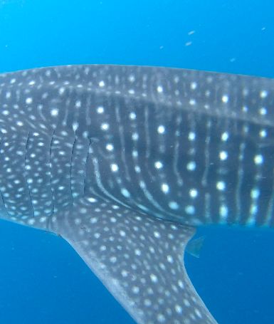 f8306f7a-8f80-4489-8da7-2639075dcc1a