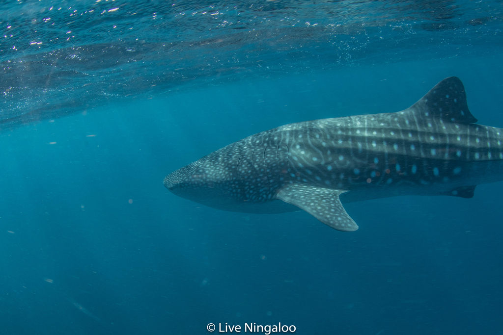 7c6750df-23f4-4757-8f27-54da4e4860a4