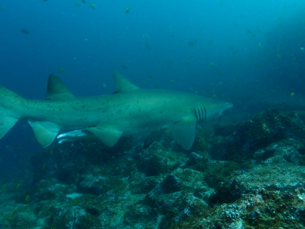 b259f772-f6ec-4afd-bc58-08916a50af4e