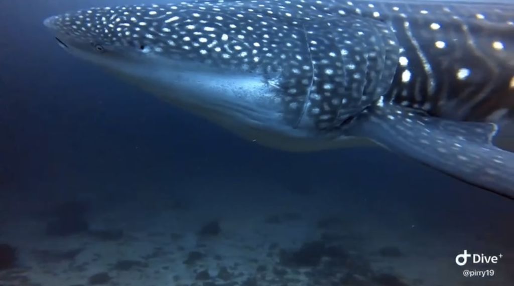 a144b49e-ae62-4459-8a0d-0e4467ff1185