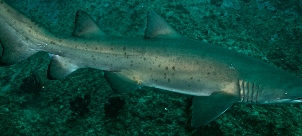 b20676d3-2adf-457e-849d-f80623ad6fc1