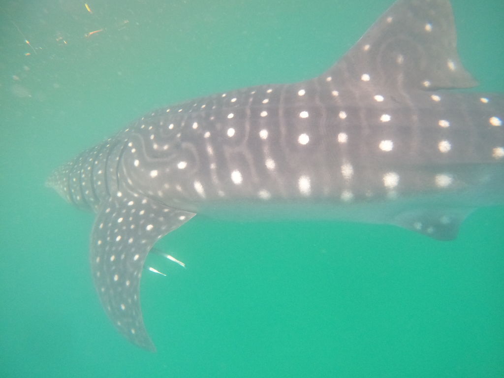 e0f2bdfe-923f-45e9-8b0e-6560e11e4f6d