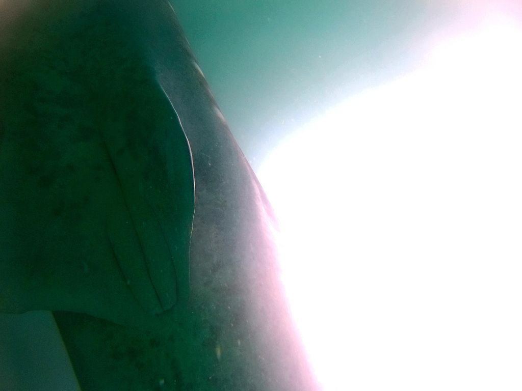 e0f2bdfe-923f-45e9-8b0e-6560e11e4f6d