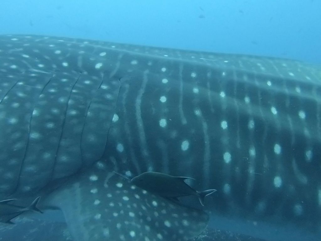 226e21ac-d482-42bc-82ec-bcc0249ff61f