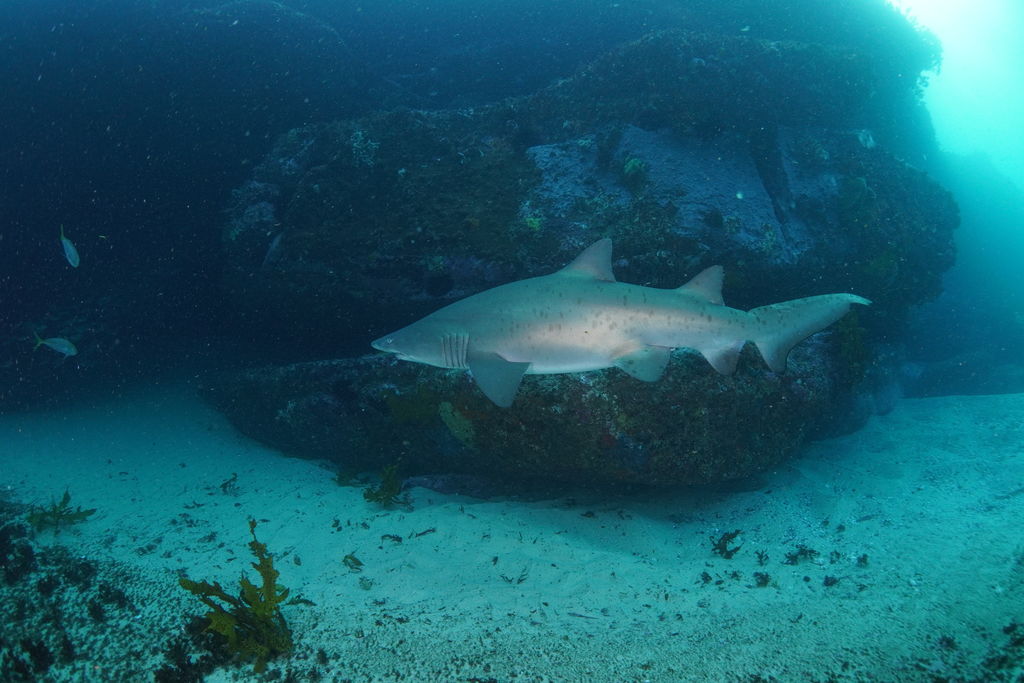 7be8614c-3a96-4458-87ea-97928cfdd489