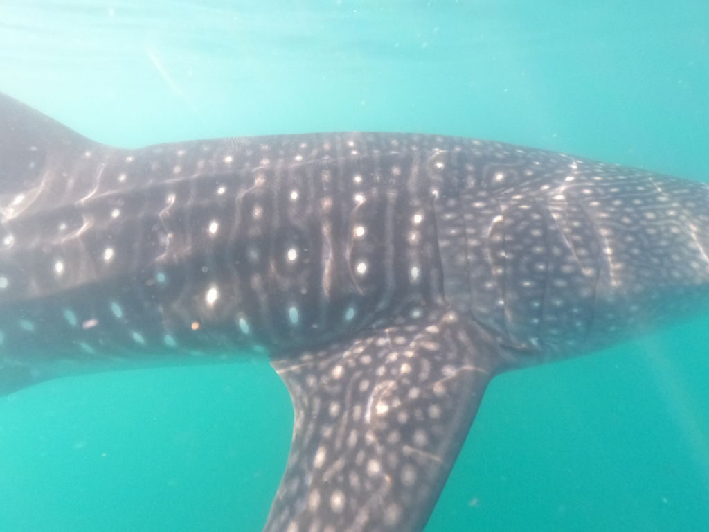 1cc175dc-a704-4d1c-8169-a36029695d99