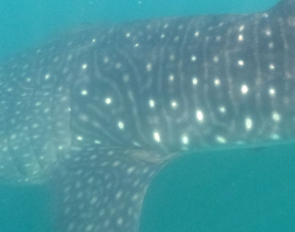 1cc175dc-a704-4d1c-8169-a36029695d99