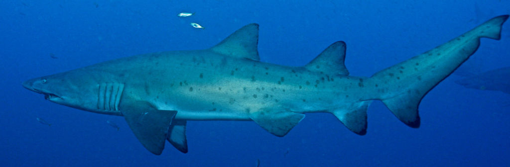 a9a76792-5753-4c4f-b5ce-3dddb195a361