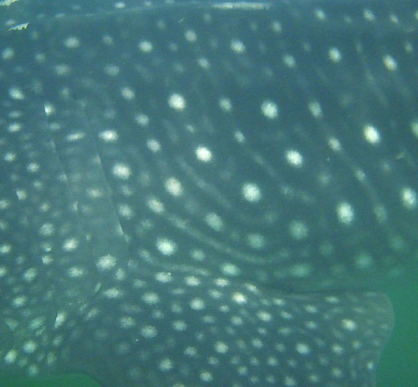 d6c11c81-8404-44aa-b63d-f1efc8c6cbe7