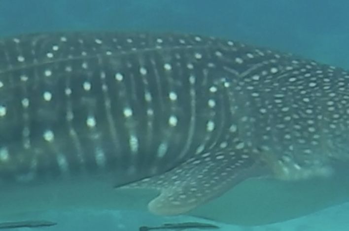 7e25e8e6-7480-4668-8144-3b84f7b8c656