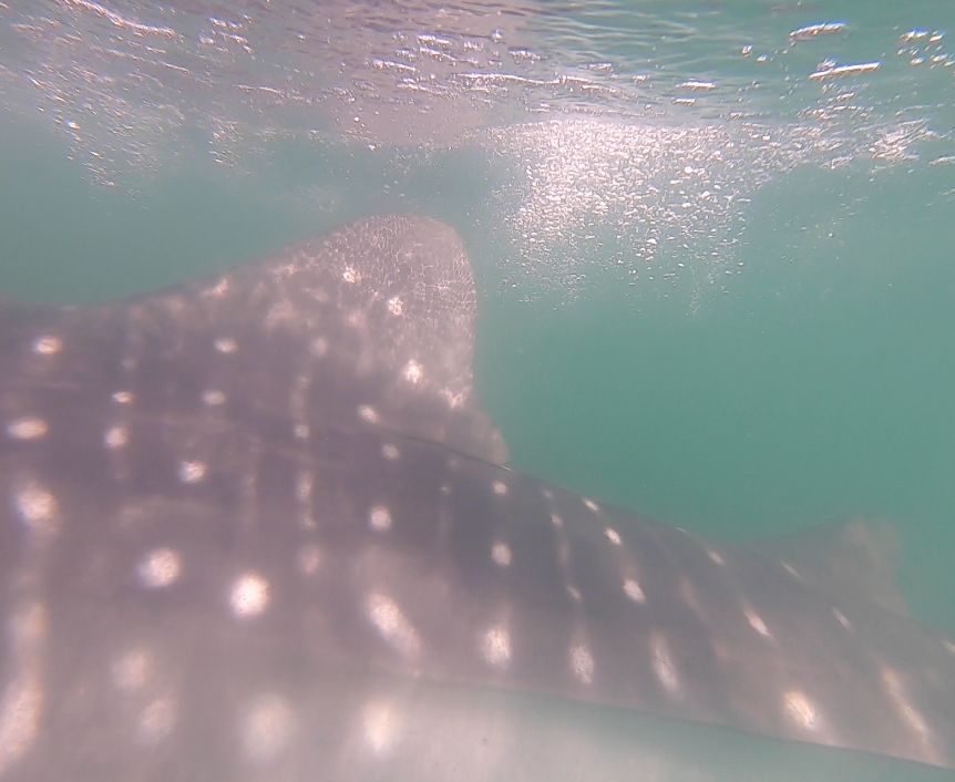 5f892730-7766-42bc-a30e-f91cc997b1f2