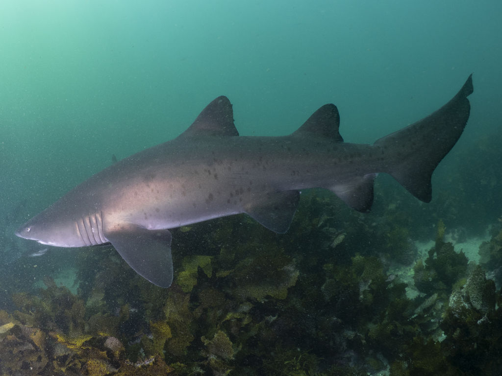 4731e8f1-b78b-4b50-9bdb-2109d85fca07