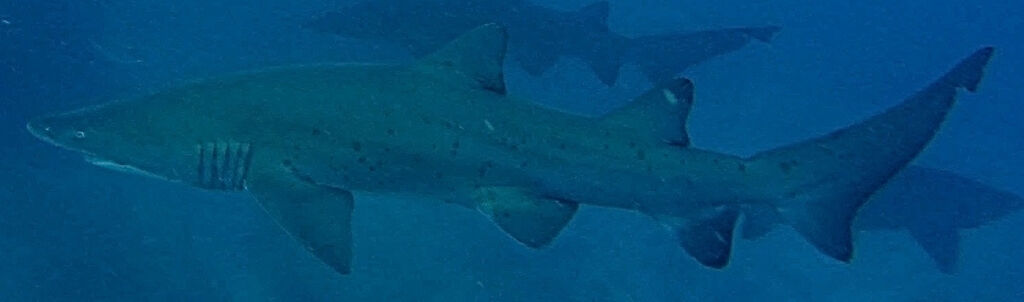 639ce012-020a-4eed-9fe6-807d4d3a05f1