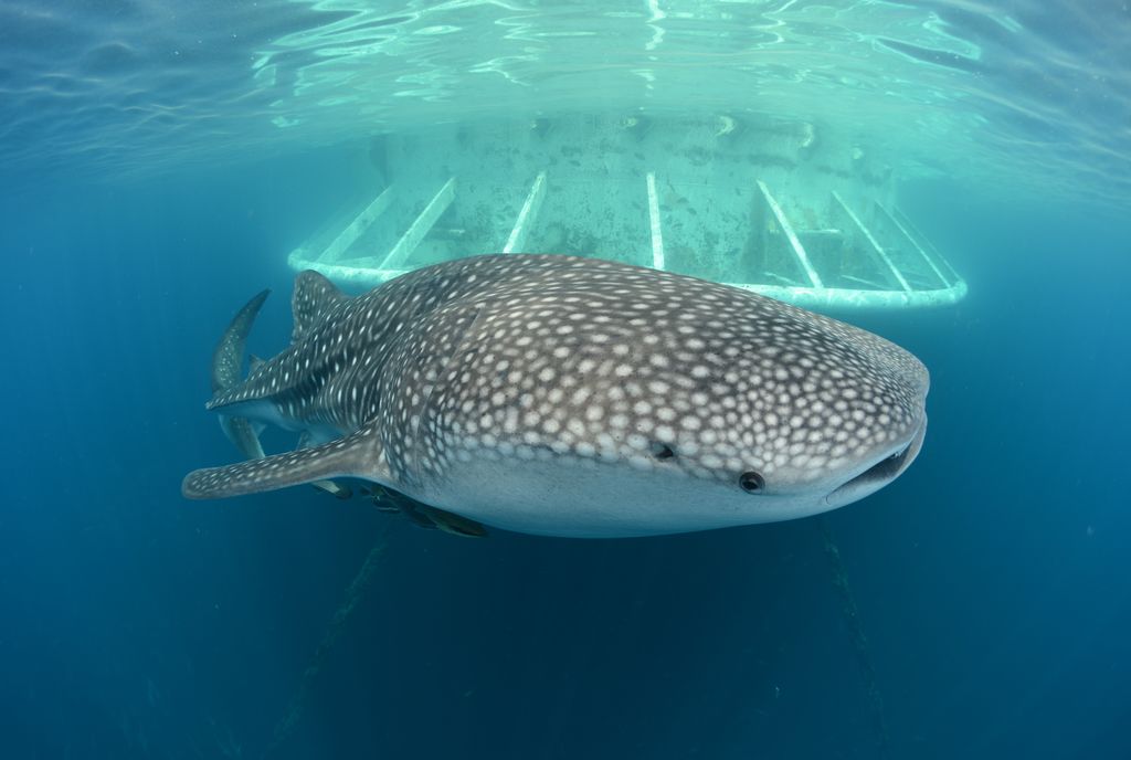 5491ccb4-89fc-47e2-a746-29f0ea8130ad