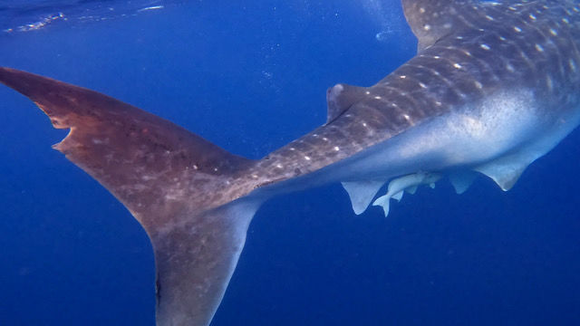 f267ca06-182a-4639-87dc-6e2d68c7627f