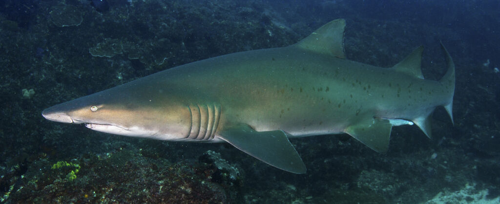 17ef2264-4c7c-4819-8382-ab3270e0acc7