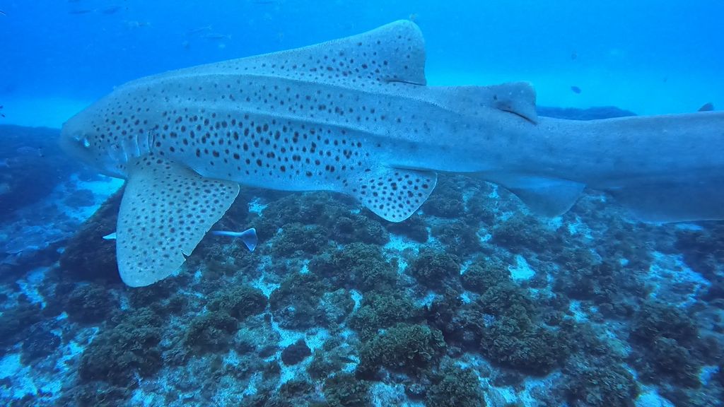 09b948f8-ca6c-4dbe-8520-b2c714309cdb