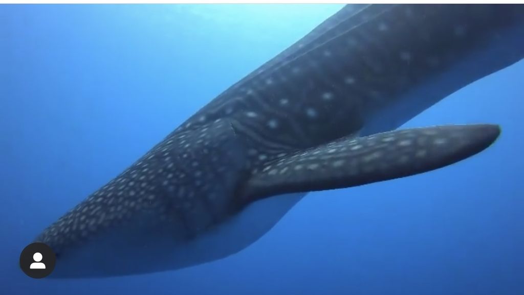 f4dc268d-2337-4fe1-859f-12f78d2c4519