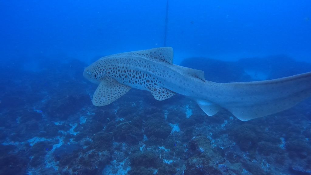 6df2ed2a-aafe-41fa-b6f7-92c6b6c54462