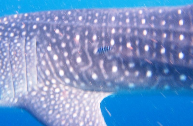 3bfdd2ae-d8c6-4bbd-9231-9c0a3a13bbe9