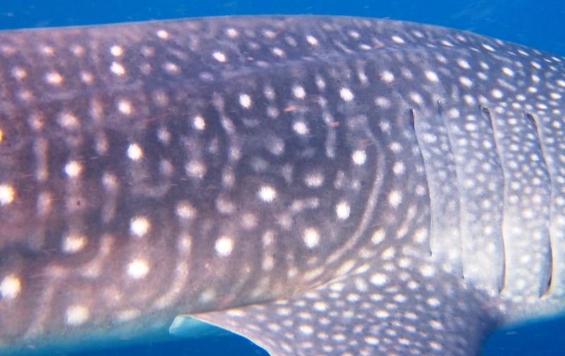 3bfdd2ae-d8c6-4bbd-9231-9c0a3a13bbe9