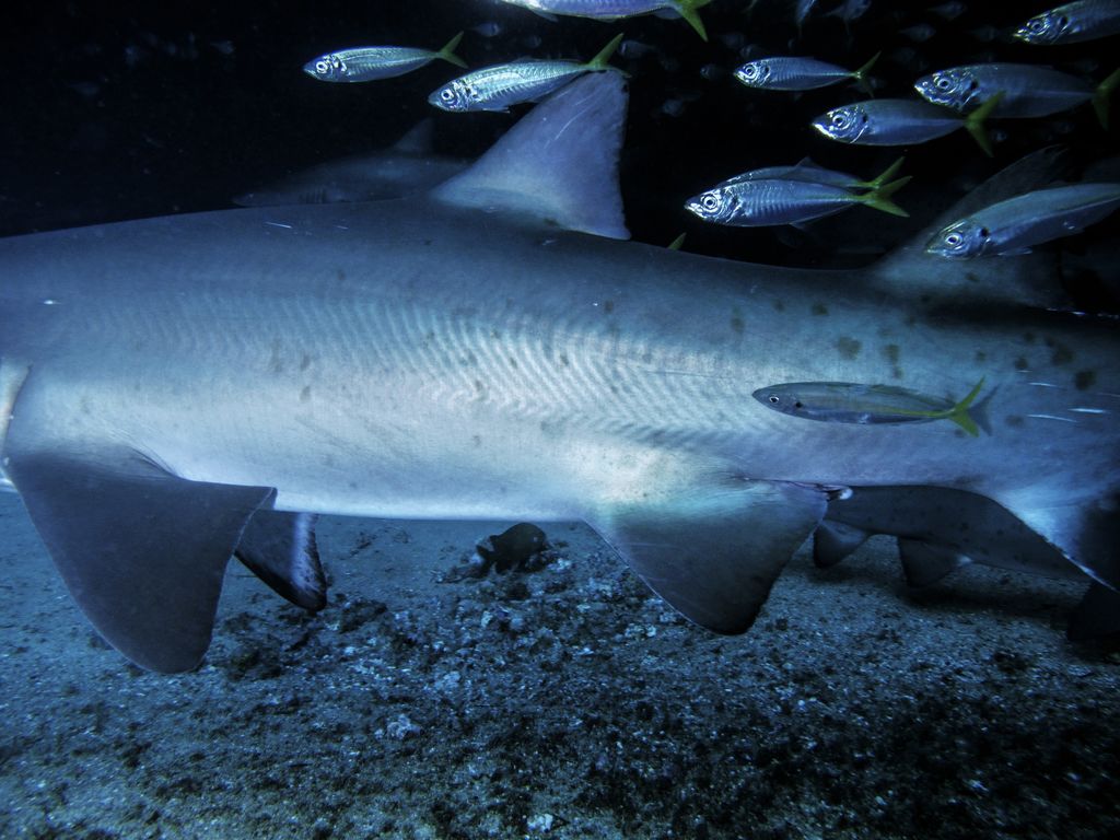 cb6b2906-3b56-4df9-8d16-d3a7a1108464