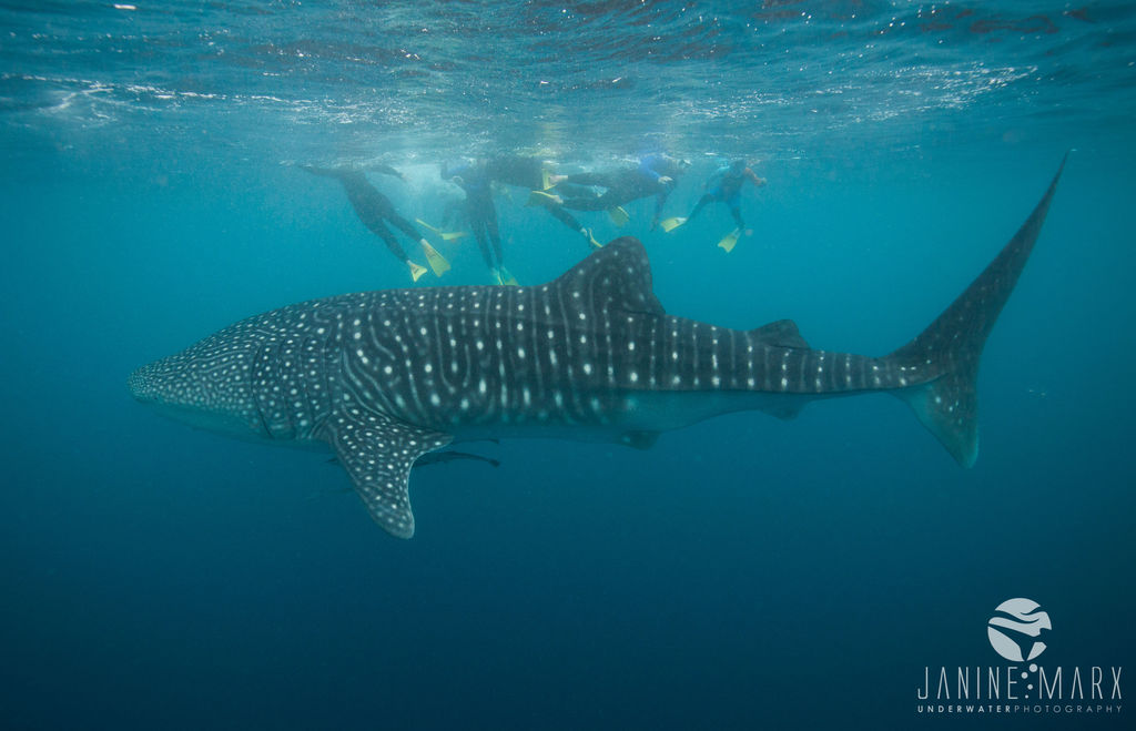 2f402e3b-d150-4da4-be14-24a58ea00ff5