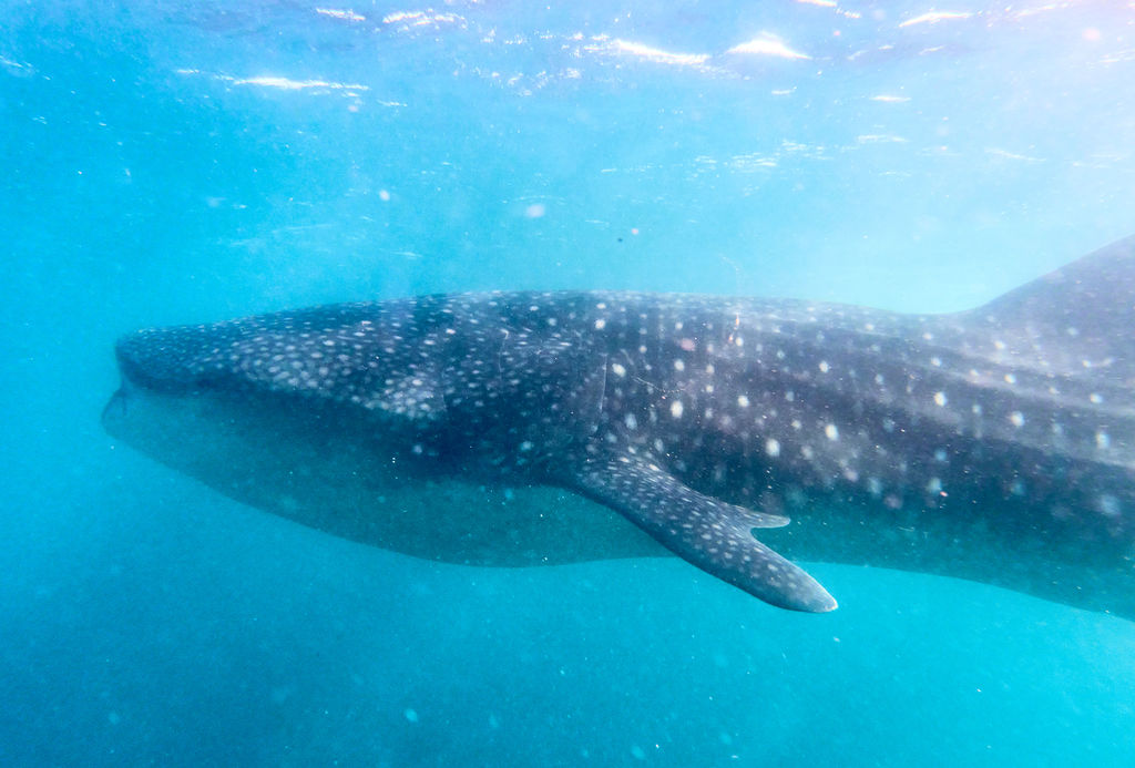 b70cdbcc-00d3-46de-bb2e-2946ba8d233c