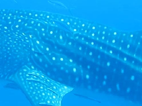 f6e06227-350e-4244-b657-70373af1405b