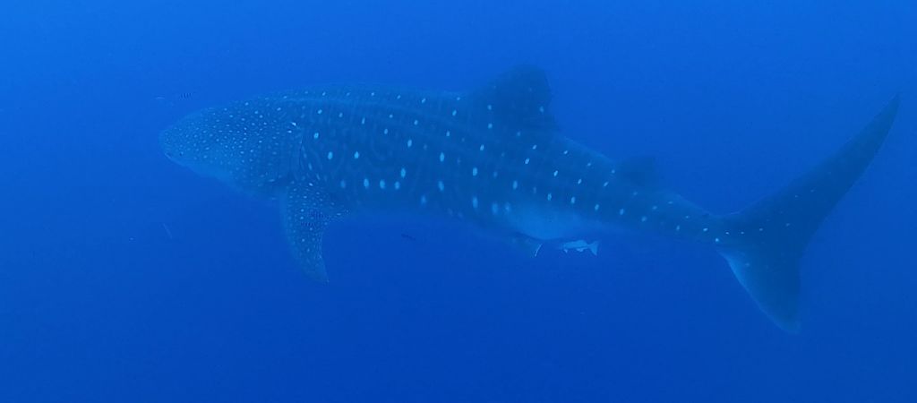 586d5f71-4c86-4676-9d3a-fc8a2fde40f5