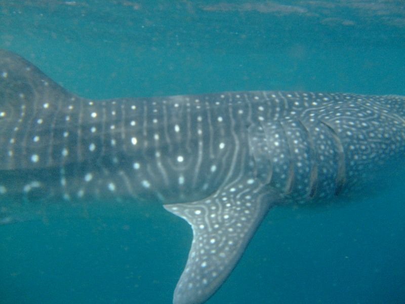 09ae492e-03e1-467d-a8a5-7caf8e36bb1d