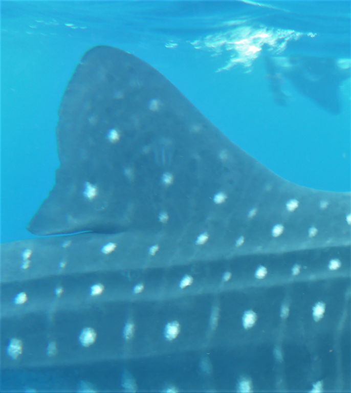 1608111a-48fe-48a5-9677-e0041e5b62ea