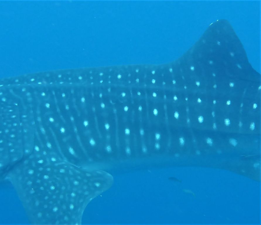 1608111a-48fe-48a5-9677-e0041e5b62ea